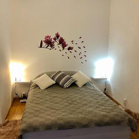 ピテシュティMia'S Houseアパートメント エクステリア 写真