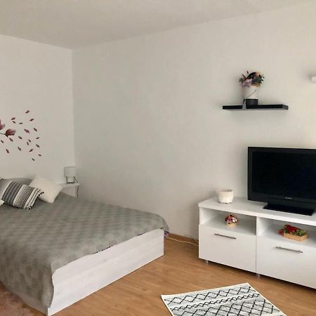 ピテシュティMia'S Houseアパートメント エクステリア 写真