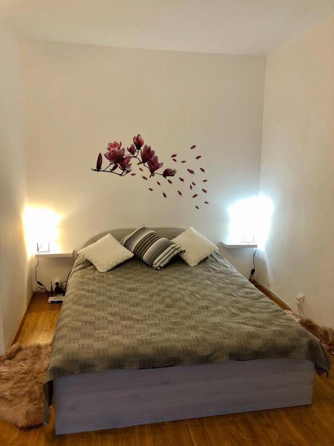 ピテシュティMia'S Houseアパートメント エクステリア 写真