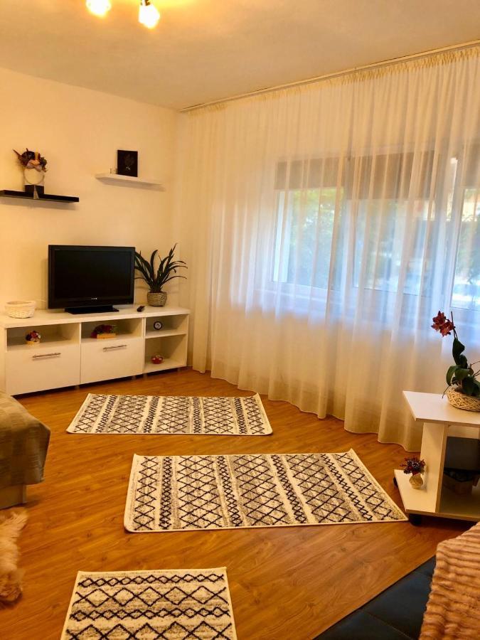ピテシュティMia'S Houseアパートメント エクステリア 写真