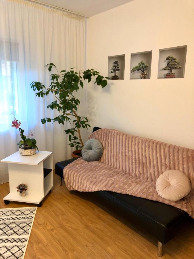 ピテシュティMia'S Houseアパートメント エクステリア 写真